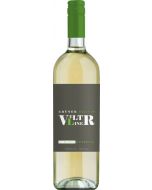 Grüner Veltliner QUW NÖ Selection Österreich