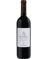 Pèppoli Chianti Classico DOCG