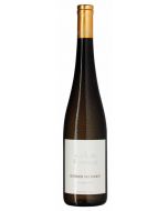 Nussberg Grüner Veltliner Wiener Wein - QbA trocken