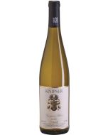 Sauvignon Blanc Pfalz QbA trocken