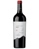 Malbec Andeluna 1300 Tupungato Mendoza