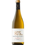 Rioja El Coto Chardonnay 875m