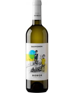 Sauvignon Blanc Trevenezie IGT