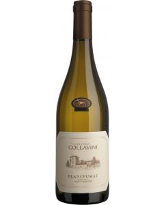 Sauvignon Blancfumat Collio DOC