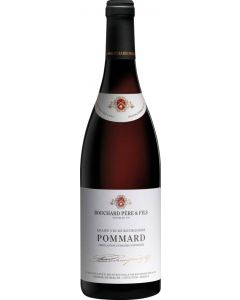 Pommard AC Bourgogne