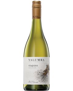 Viognier  Y WO South Australia