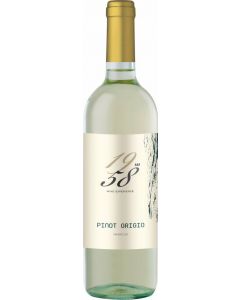 Pinot Grigio - "1958 Wine Experience" Delle Venezie DOC