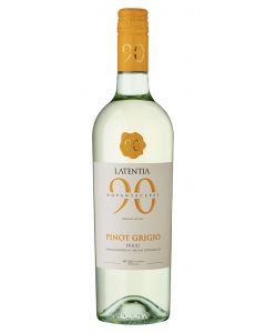 Pinot Grigio Friuli DOC