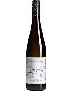 Grüner Veltliner "Löss & Stein" Kamptal DAC