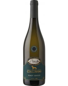 Villa Canlungo Pinot Grigio Collio DOC